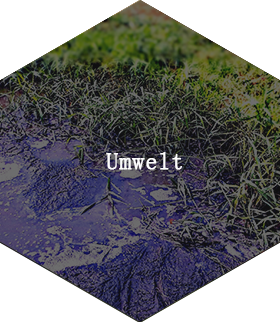 Umwelt